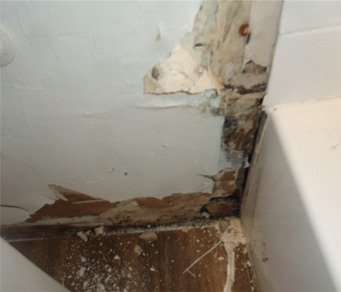 Bathroom where the tub meets the wall has sheetrock removed exposing mold growth