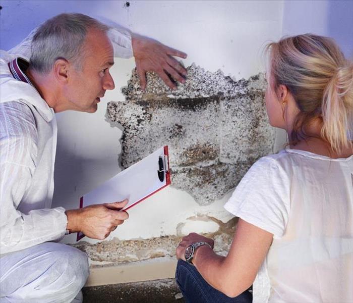 a pest control contractor or exterminator with a blonde female customer at a mold destroyed wall and explain her the problem 
