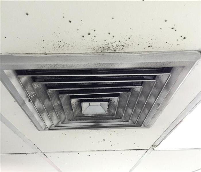 Mold around air ducts