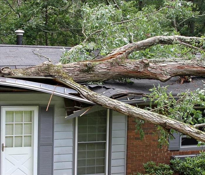 Tree fallen on the roof of a house. Roof damaged by storm
