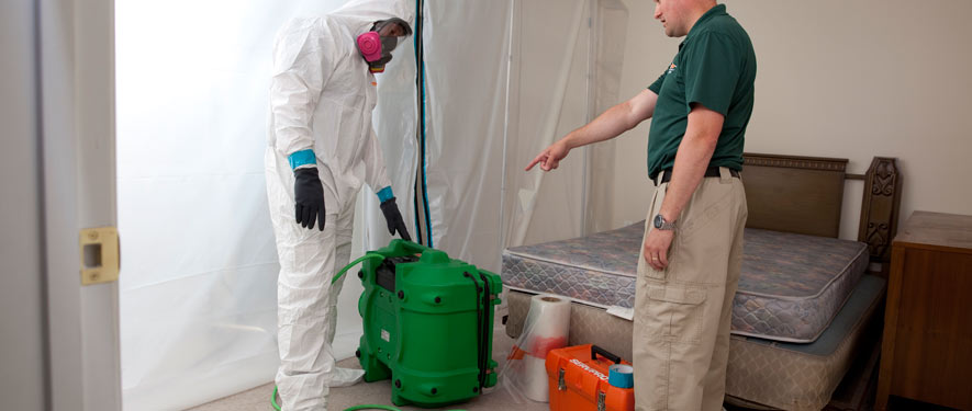 Peoria, AZ mold removal process